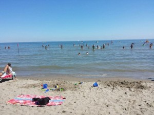 10277491_733998709972108_8304998327346524930_n