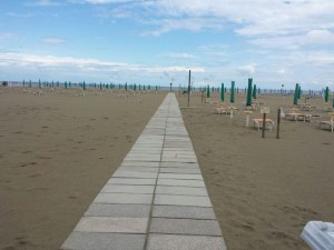 10408521_733998759972103_1189461418318485018_n