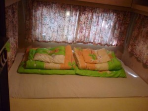 10672415_334629210040287_6743909818458064095_n