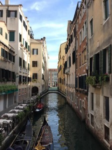 11245174_10206253665917772_1539398273_n