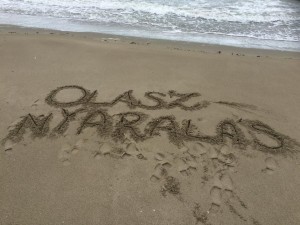 11281868_988316377847941_633808225_n