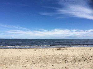 11289542_988741107805468_1615976350_n