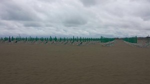 11352229_988321351180777_465223315_n