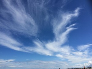 11355528_988741224472123_1681291245_n